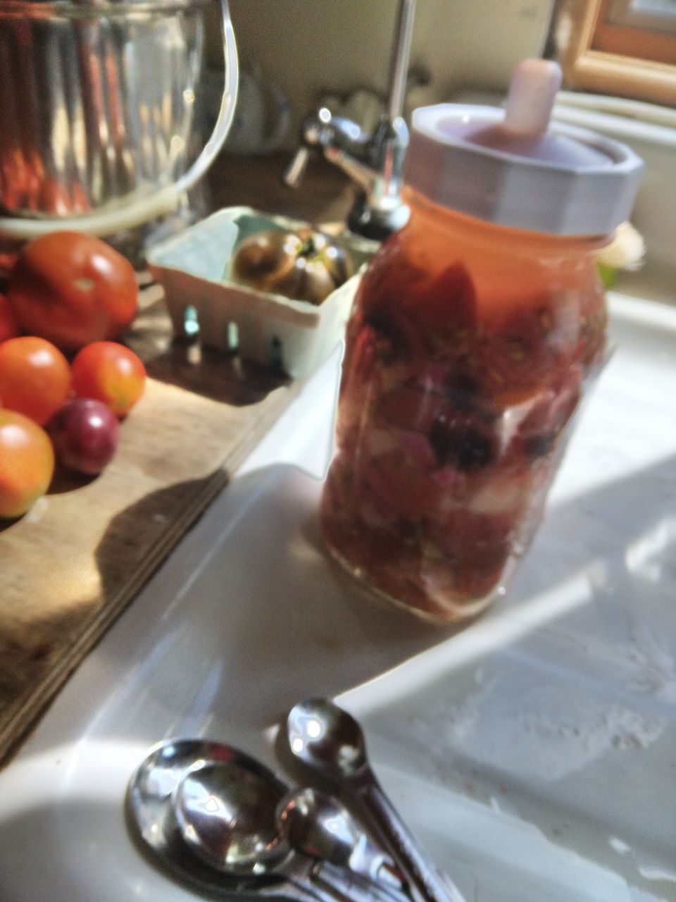 fermented salsa