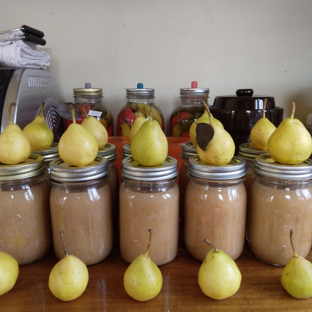 pear sauce w pears 