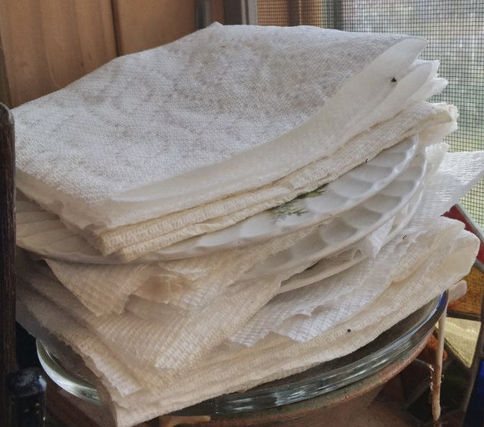 drying seed stack