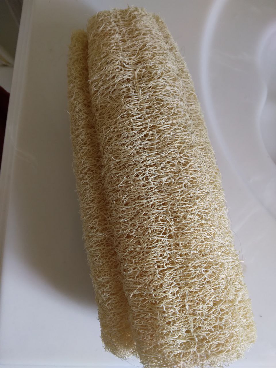 Loofah1