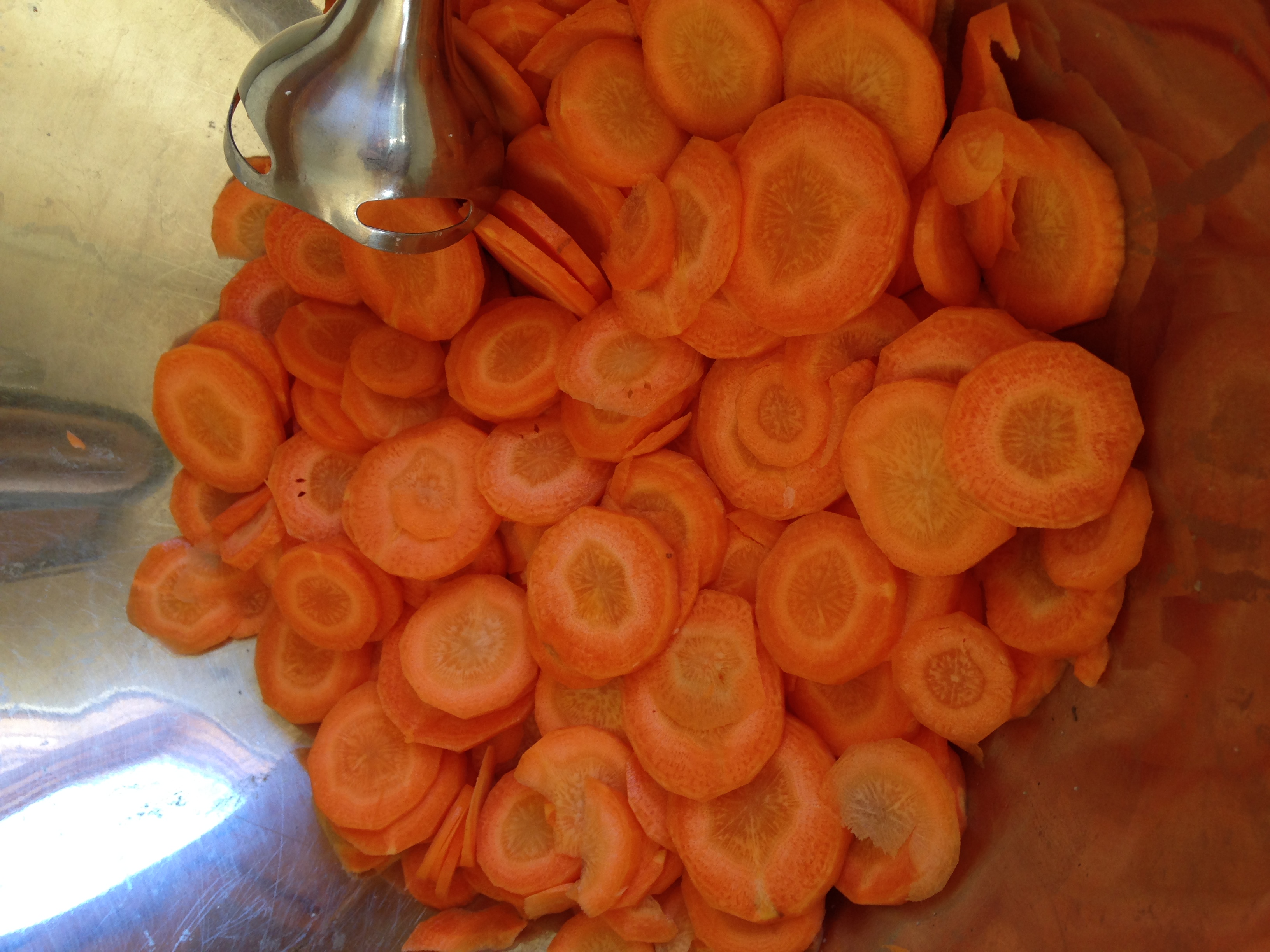 Fermented Carrots2