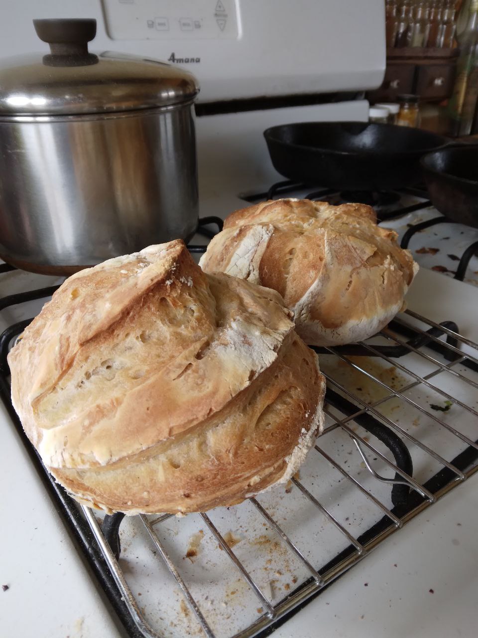 sourdough bread perfect!