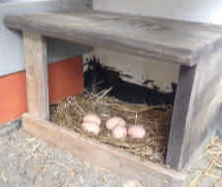 lower nest box